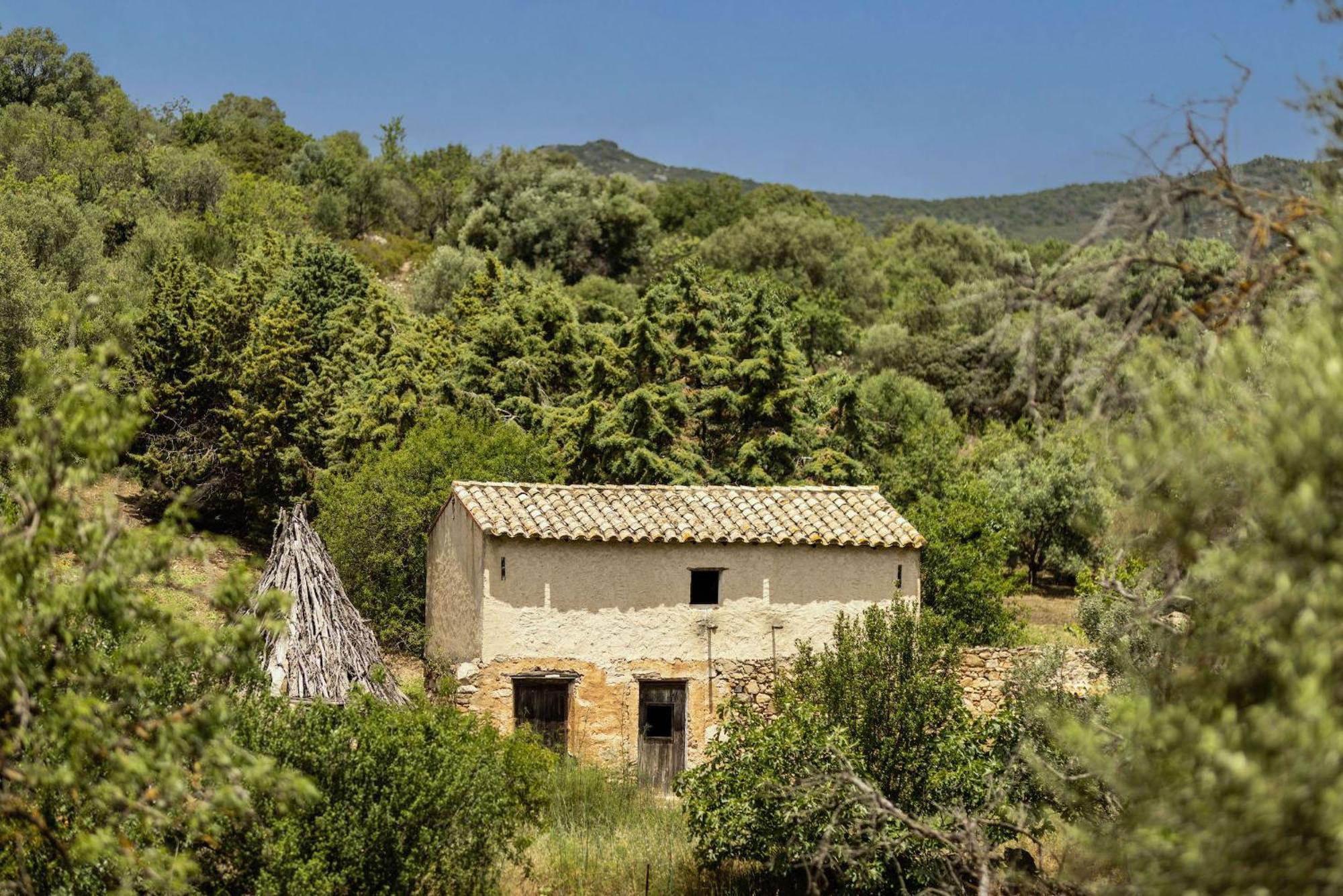 Soul Valley All-In Boutique Hotel With Yoga & Wellness Maracalagonis Extérieur photo